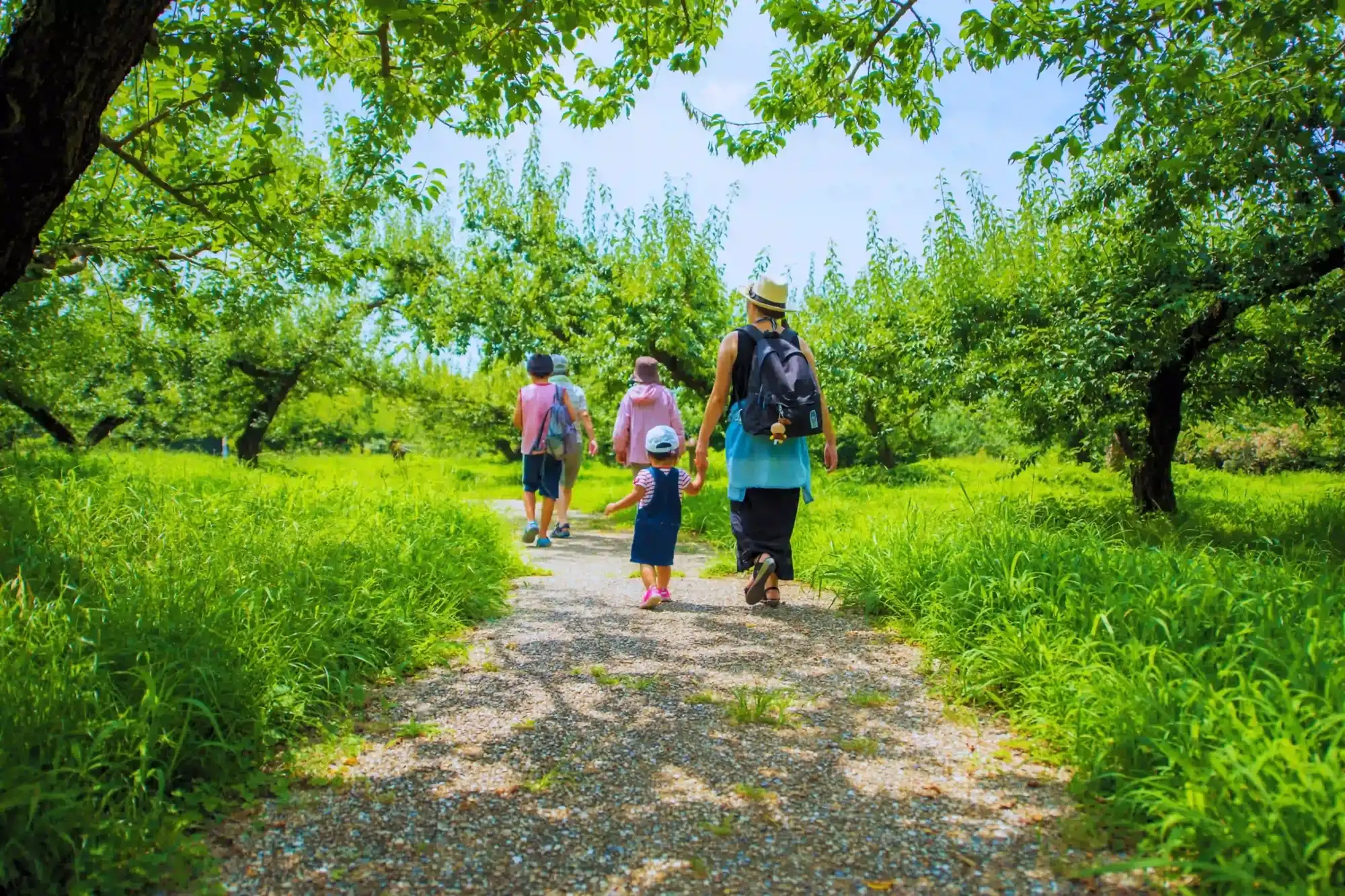famille en randonnee scaled 1