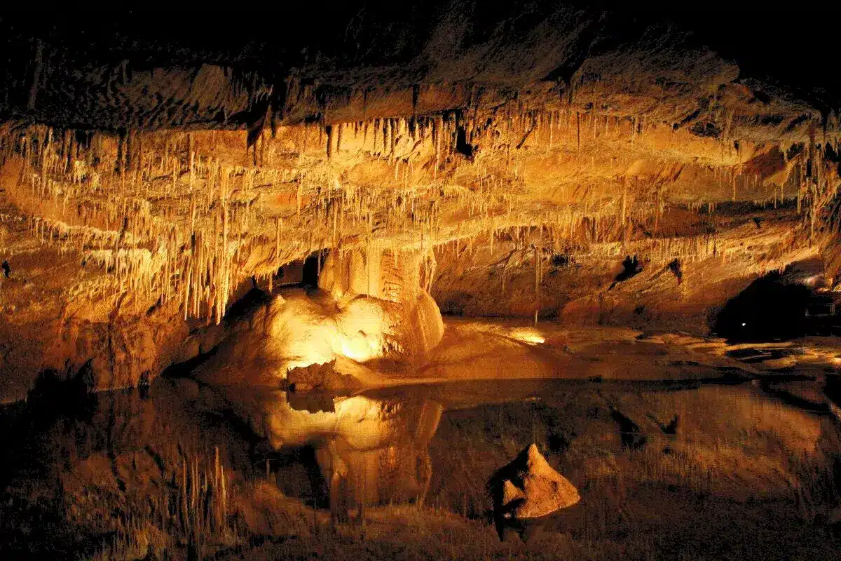 grottes du pech merle