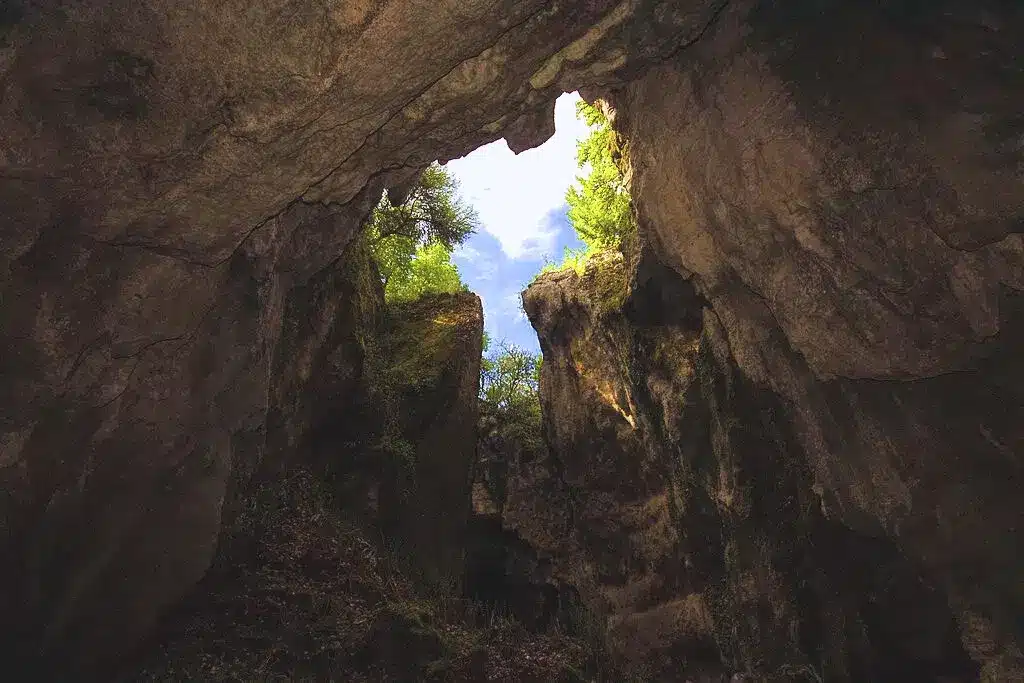 phosphatieres de bach